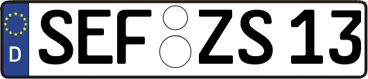 SEF-ZS13