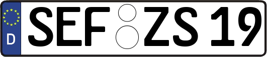 SEF-ZS19