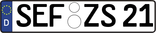SEF-ZS21