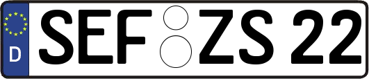 SEF-ZS22