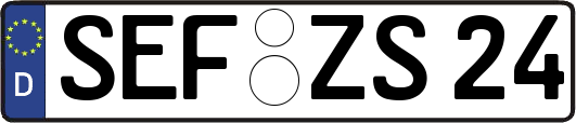 SEF-ZS24