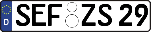 SEF-ZS29