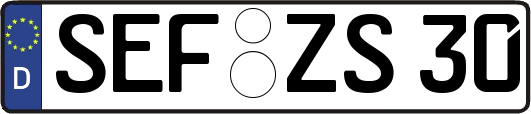 SEF-ZS30