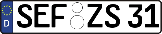 SEF-ZS31
