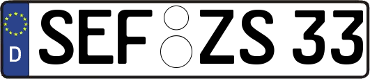 SEF-ZS33