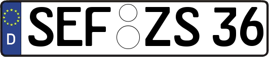 SEF-ZS36
