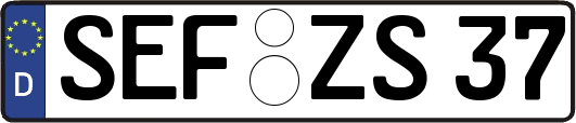 SEF-ZS37
