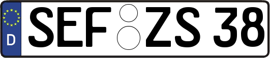 SEF-ZS38