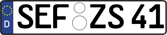 SEF-ZS41