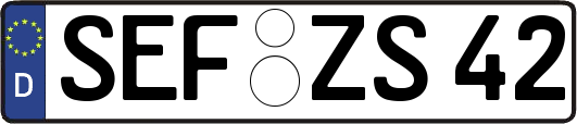 SEF-ZS42