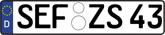 SEF-ZS43