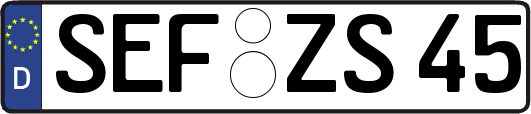 SEF-ZS45