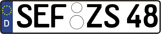 SEF-ZS48
