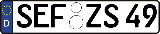 SEF-ZS49