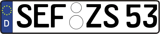 SEF-ZS53