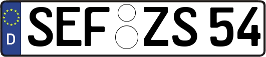 SEF-ZS54