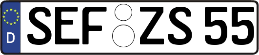 SEF-ZS55
