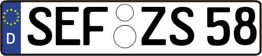 SEF-ZS58