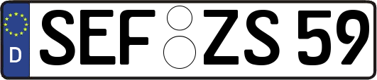 SEF-ZS59