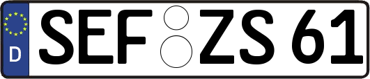 SEF-ZS61