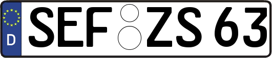 SEF-ZS63
