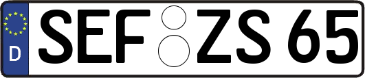 SEF-ZS65