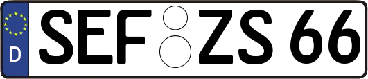 SEF-ZS66