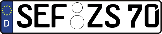 SEF-ZS70