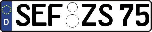 SEF-ZS75