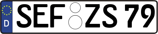 SEF-ZS79