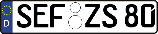 SEF-ZS80