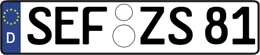 SEF-ZS81