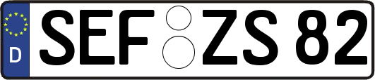 SEF-ZS82