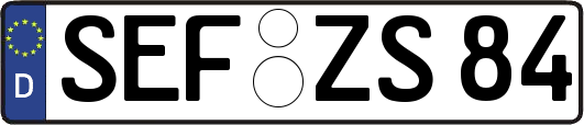 SEF-ZS84