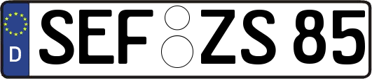 SEF-ZS85