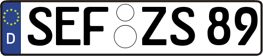 SEF-ZS89