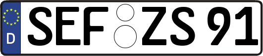 SEF-ZS91