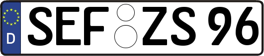 SEF-ZS96
