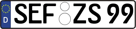 SEF-ZS99