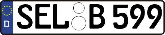 SEL-B599