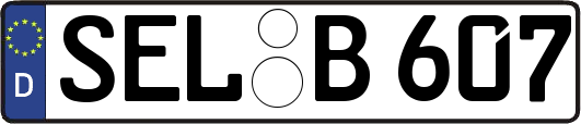 SEL-B607