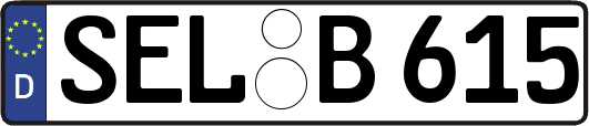 SEL-B615