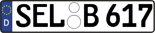 SEL-B617