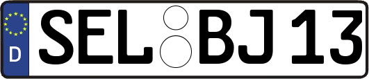 SEL-BJ13