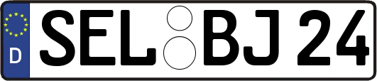 SEL-BJ24
