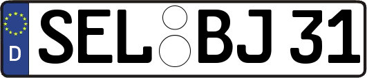 SEL-BJ31