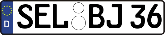 SEL-BJ36