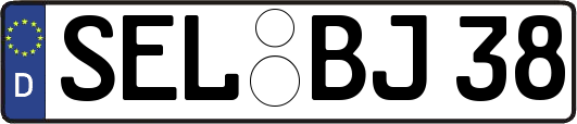 SEL-BJ38