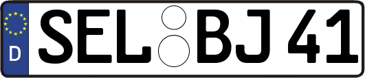 SEL-BJ41
