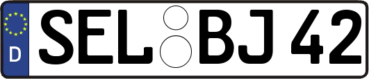 SEL-BJ42